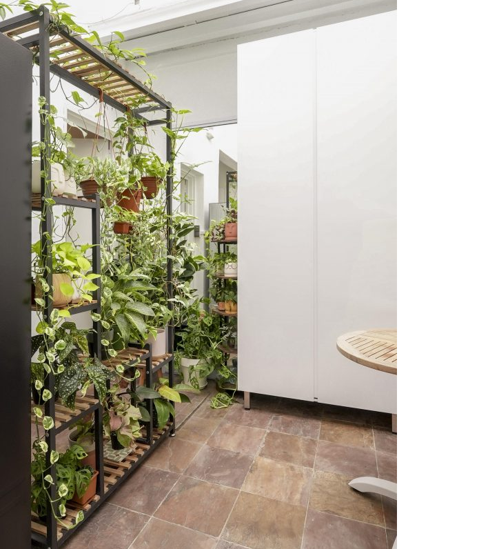 Những k&ecirc;̣ đỡ c&acirc;y xanh hi&ecirc;̣n di&ecirc;̣n khắp nơi trong ng&ocirc;i nhà, k&ecirc;́t hợp với màu trắng chủ đạo của n&ocirc;̣i th&acirc;́t và màu n&acirc;u m&ocirc;̣c của sàn lát gạch tạo cảm giác thư thái, mát mẻ.