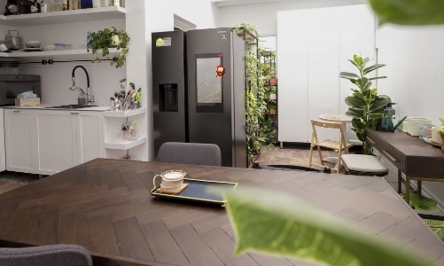 Không gian của cây và thú cưng cho những ngày giãn cách