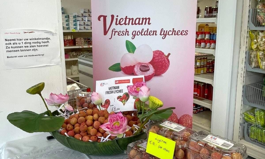 Vải thiều được giới thiệu tại siêu thị Thanh Hùng (Hà Lan)