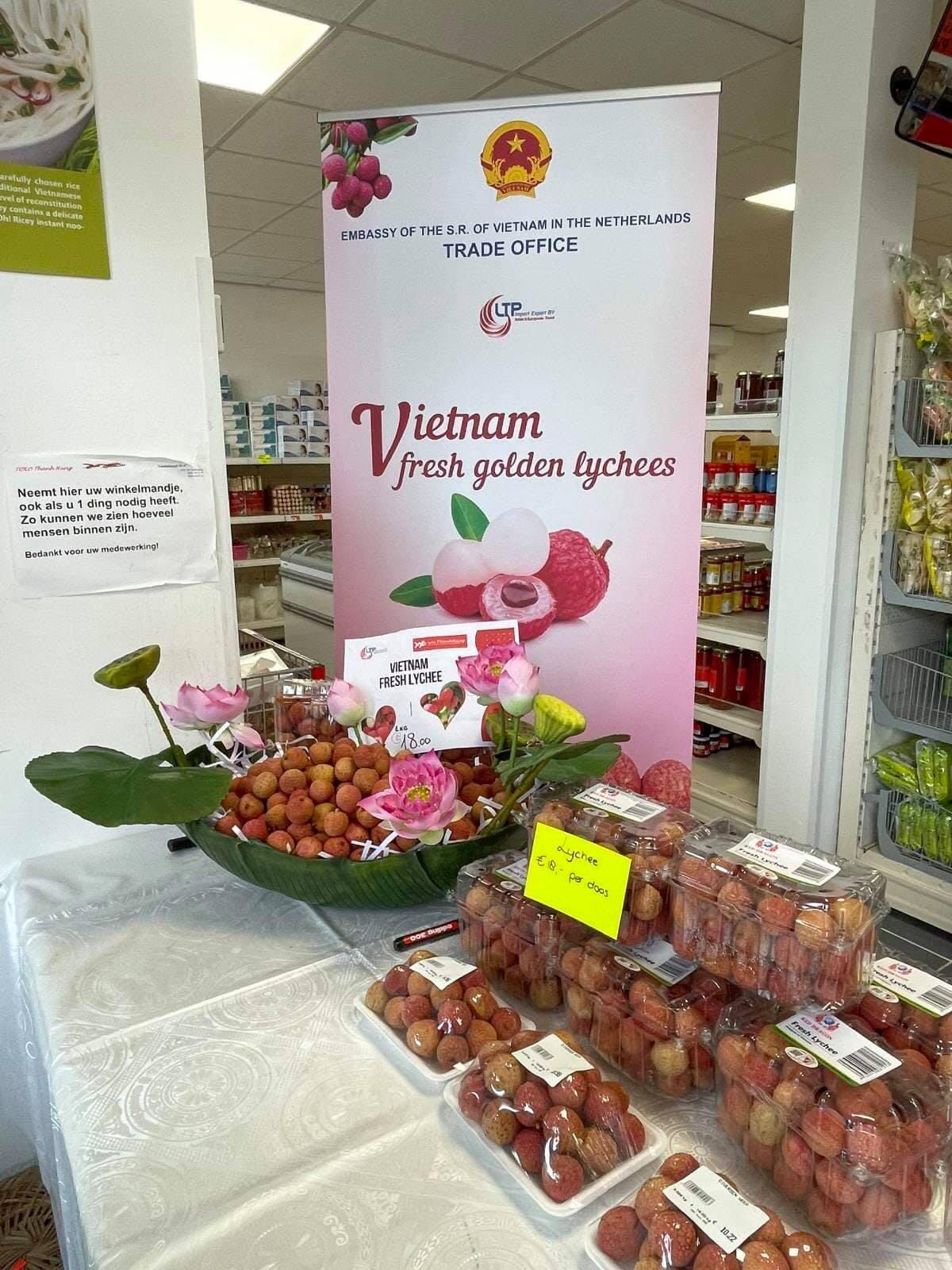 Vải thiều được giới thiệu tại siêu thị Thanh Hùng (Hà Lan)