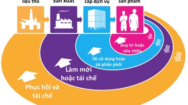 Thách thức ngành nhựa: Làm được sản phẩm cao cấp cho máy bay nhưng không có kỹ thuật chuyên về tái chế