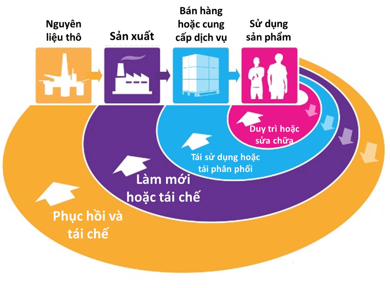 Quy trình nền kinh tế tuần hoàn