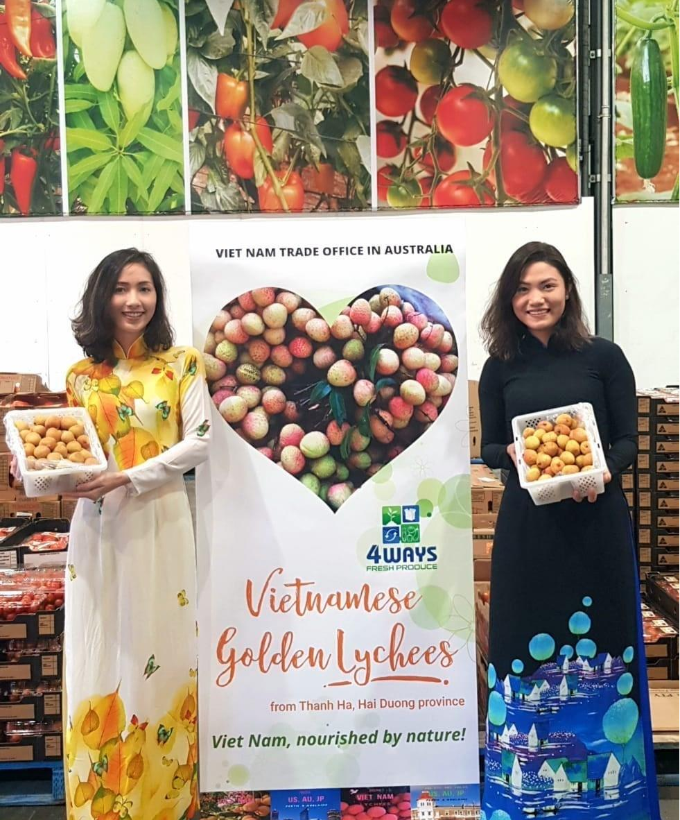 Kh&aacute;ch h&agrave;ng bắt đầu tr&ocirc;ng chờ vải Việt Nam xuất hiện tại thị trường Australia. Ảnh: TTXVN.