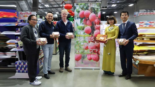 Một hộp vải tươi được đấu giá tới 3.000 đô la Úc