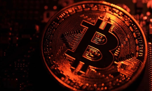 Bitcoin bị ví như “thuốc chuột”, vẫn có dự báo lên 100.000 USD vào cuối năm