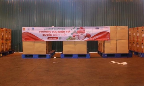 Người châu Âu đặt mua 3 tấn vải thiều qua nền tảng thương mại điện tử Vỏ Sò Global