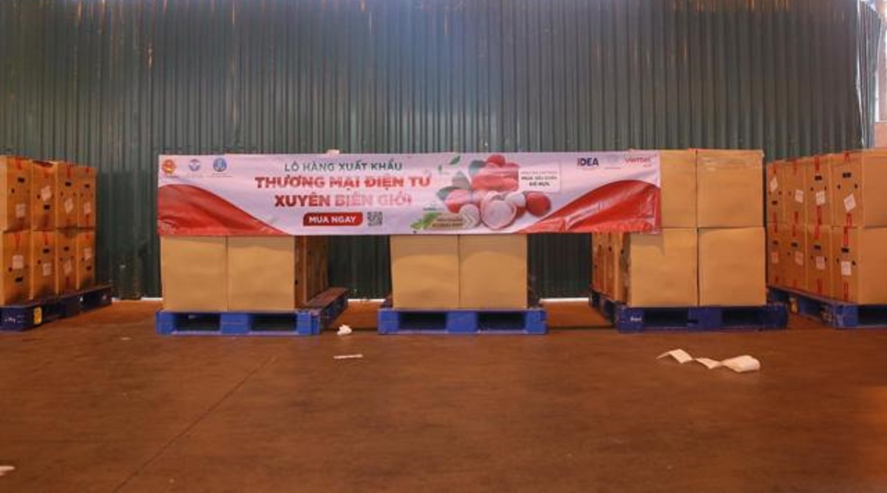 Hơn 3 tấn vải thiều Bắc Giang xuất sang Đức qua Vỏ Sò Global.