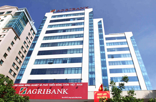 Tính chung cả năm 2021, Agribank tổn thất thu nhập từ lãi là 6.500 tỷ đồng để hỗ trợ khách hàng khó khăn do Covid - 19