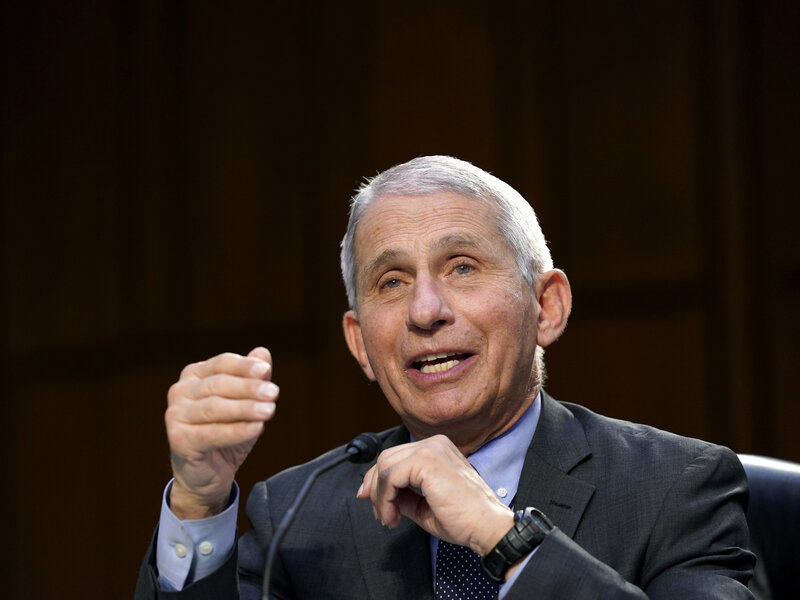 Tiến sĩ Anthony Fauci - Ảnh: NPR
