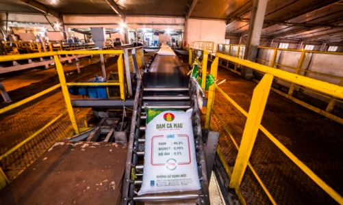 Giá phân Urea đang tăng bất thường, hỗn loạn