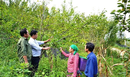 Đề xuất 5 tiêu chí mới xác định huyện nghèo theo chuẩn nghèo đa chiều