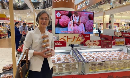 Ngoài quả vải, chuối, xoài Việt Nam cũng được quảng bá tại Nhật Bản