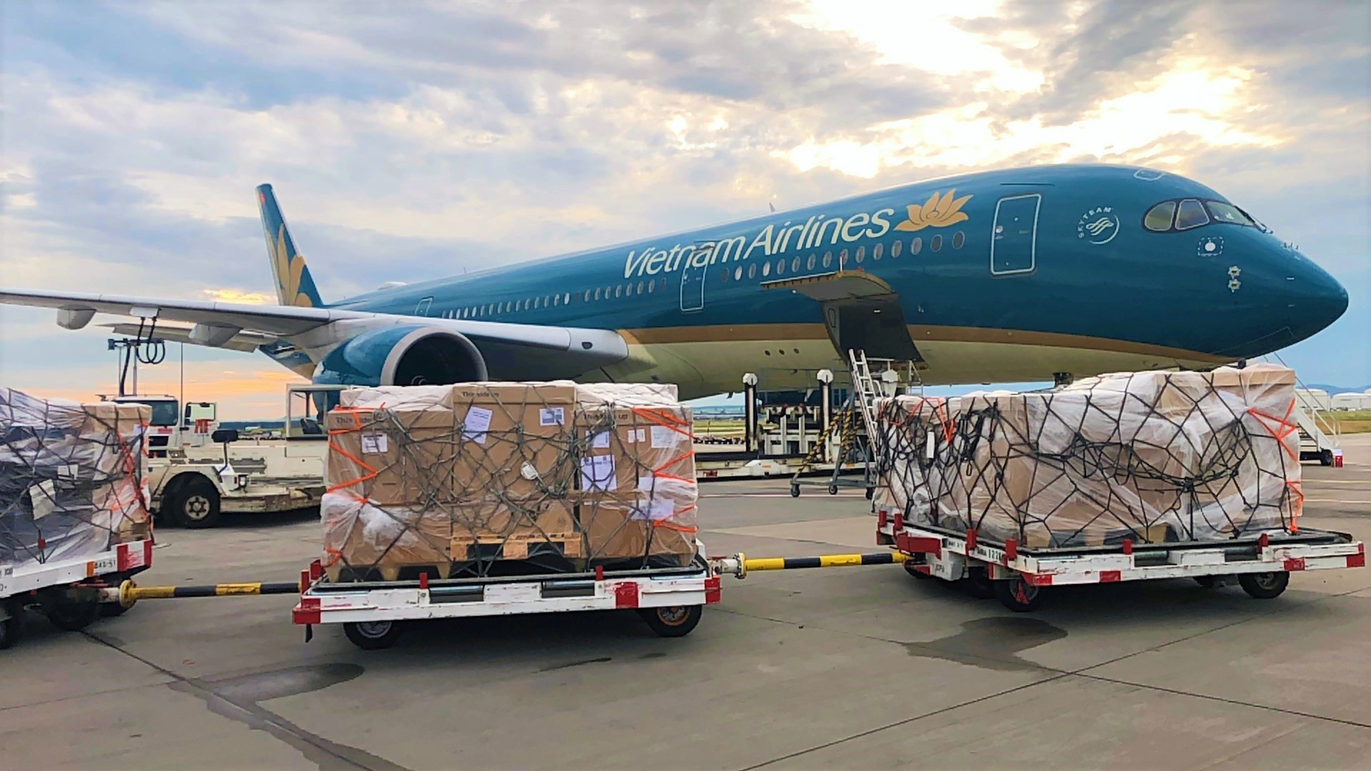 Vietnam Airlines tháo dỡ 190.000 bộ kit xét nghiệm Covid-19 do Đức tài trợ tại sân bay Nội Bài.