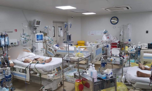 Sẵn sàng thuốc Molnupiravir cho chương trình thí điểm điều trị Covid-19 tại nhà và cộng đồng