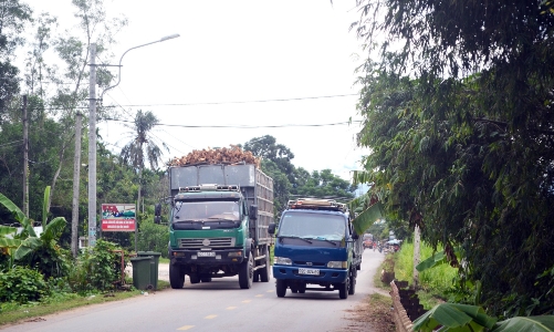 Quốc lộ 14E xuống cấp, dân Quảng Nam 