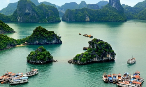 Gấp rút gỡ khó cho doanh nghiệp du lịch ảnh hưởng bởi Covid-19