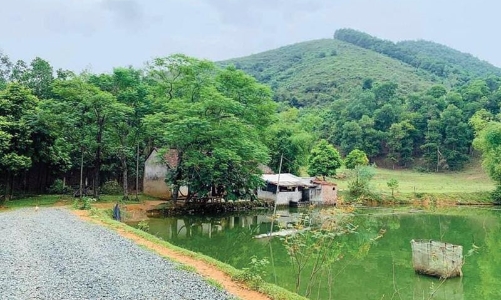 Giá bất động sản sẽ còn tăng mạnh, riêng Ba Vì 