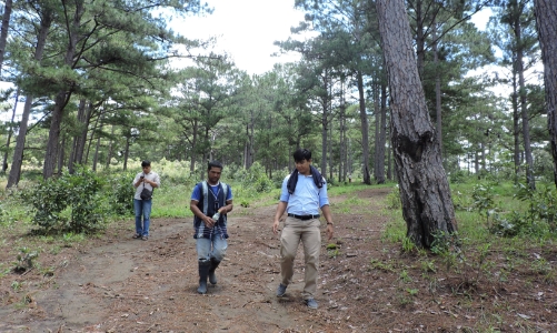 Ngành lâm nghiệp xuất siêu 7,2 tỷ USD