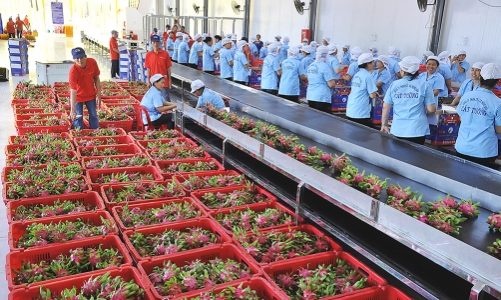 Tăng thị phần nông sản Việt tại Hàn Quốc 