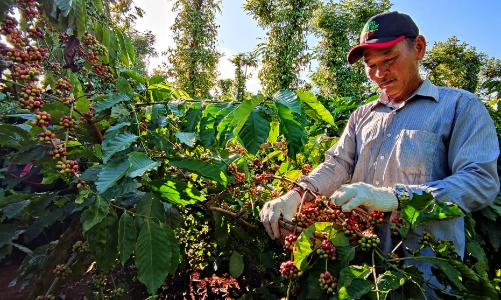 Nestlé Việt Nam và La Vie đẩy mạnh hợp tác quản lý nguồn nước