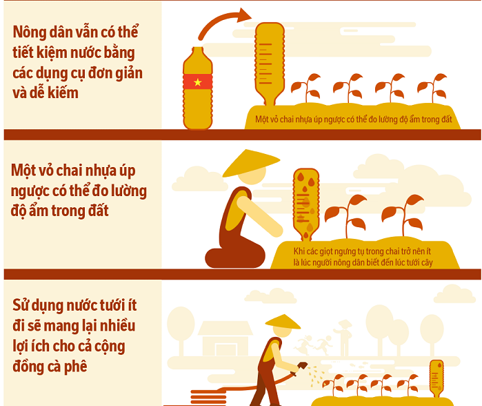 Thông qua kỹ thuật tưới tiêu dễ thực hành, người nông dân trồng cà phê có thể tiết kiệm được hơn 40% lượng nước.