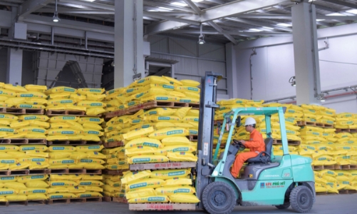 DPM điều chỉnh tăng doanh thu và lợi nhuận năm 2020 sau kiểm toán