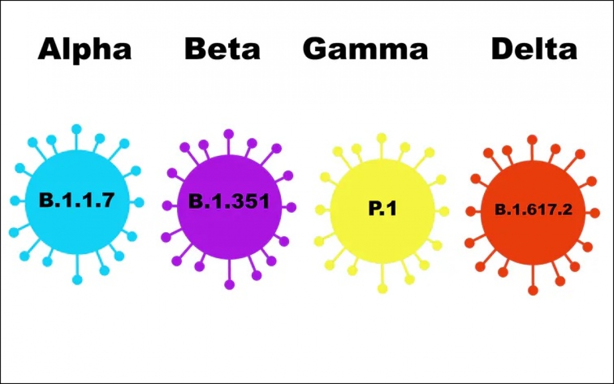 Các loại biến thể của virus SARS-CoV-2 gây bệnh Covid-19. Đồ họa: The Conversation