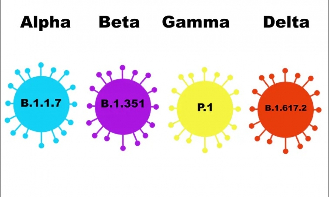 Các loại biến thể của virus SARS-CoV-2 gây bệnh Covid-19. Đồ họa: The Conversation