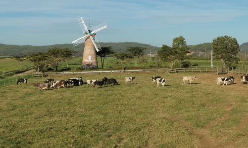 Đại dịch Covid-19 đang định hình rõ hơn xu hướng đầu tư ESG