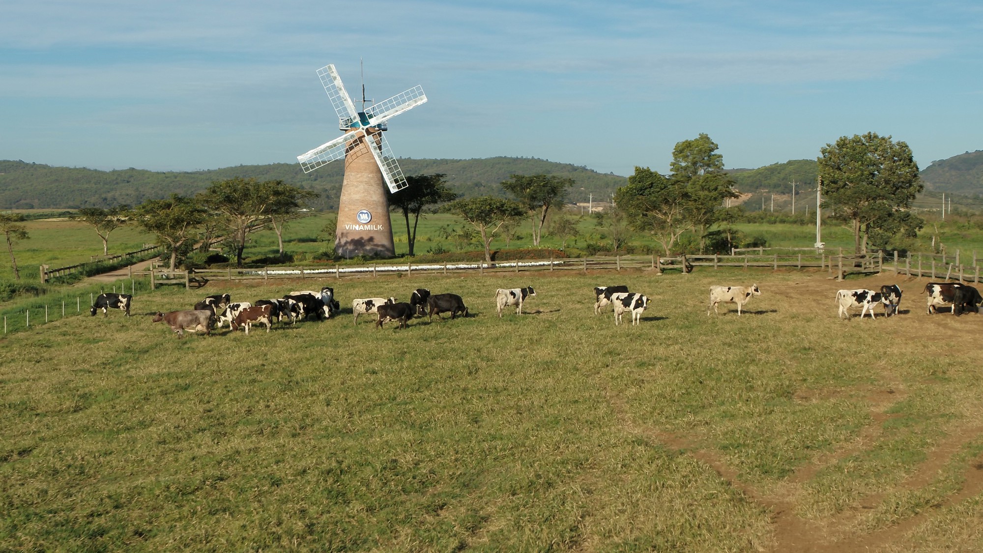 Các hoạt động thực hành ESG luôn được Vinamilk chú trọng trong chiến lược sản xuất kinh doanh.