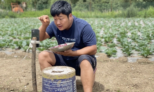 Streamer nông dân Trung Quốc kiếm triệu USD mỗi tháng