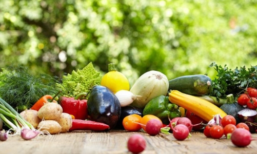 Dành  343,48 triệu USD triển khai dự án An toàn thực phẩm tại 5 địa phương