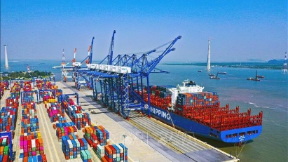 Binh Dinh seeks recognition of new international port