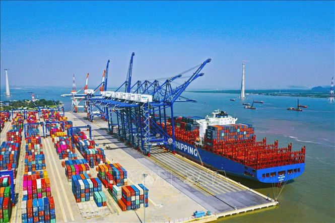 Binh Dinh seeks recognition of new international port