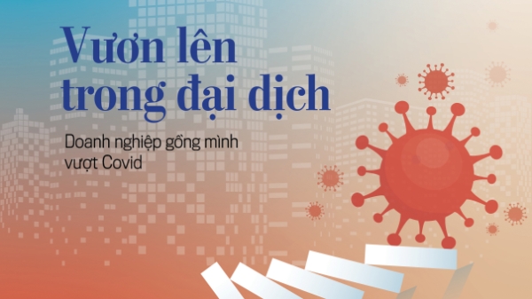 Đón đọc Kinh tế Việt Nam bộ mới số 53-2021