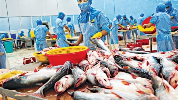 Ngành thủy sản “hụt hơi” vì Covid-19