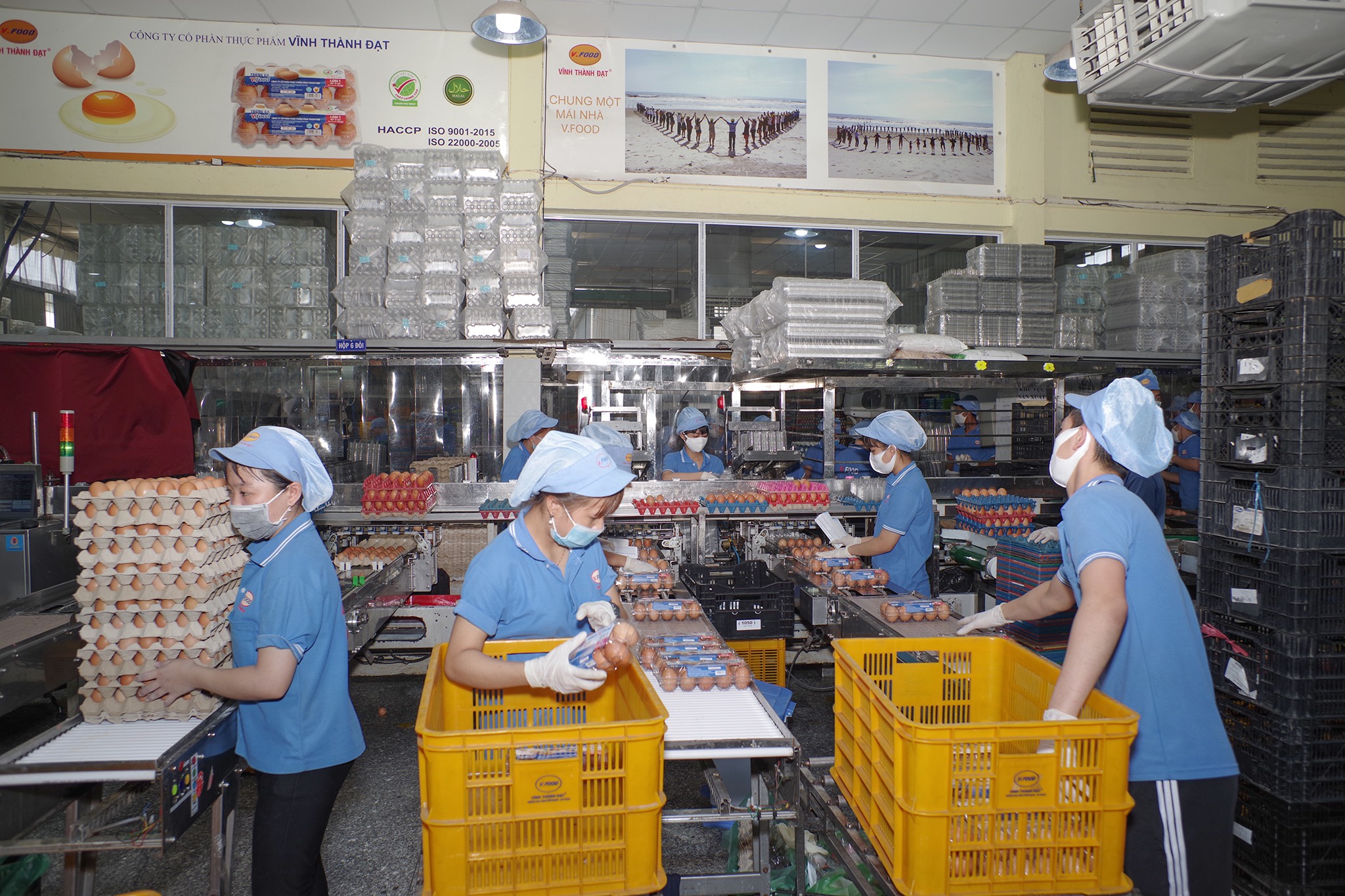 Công ty CP Thực phẩm Vĩnh Thành Đạt chia bộ phận sản xuất làm 2 khu vực riêng biệt nhằm giảm thiểu rủi ro.