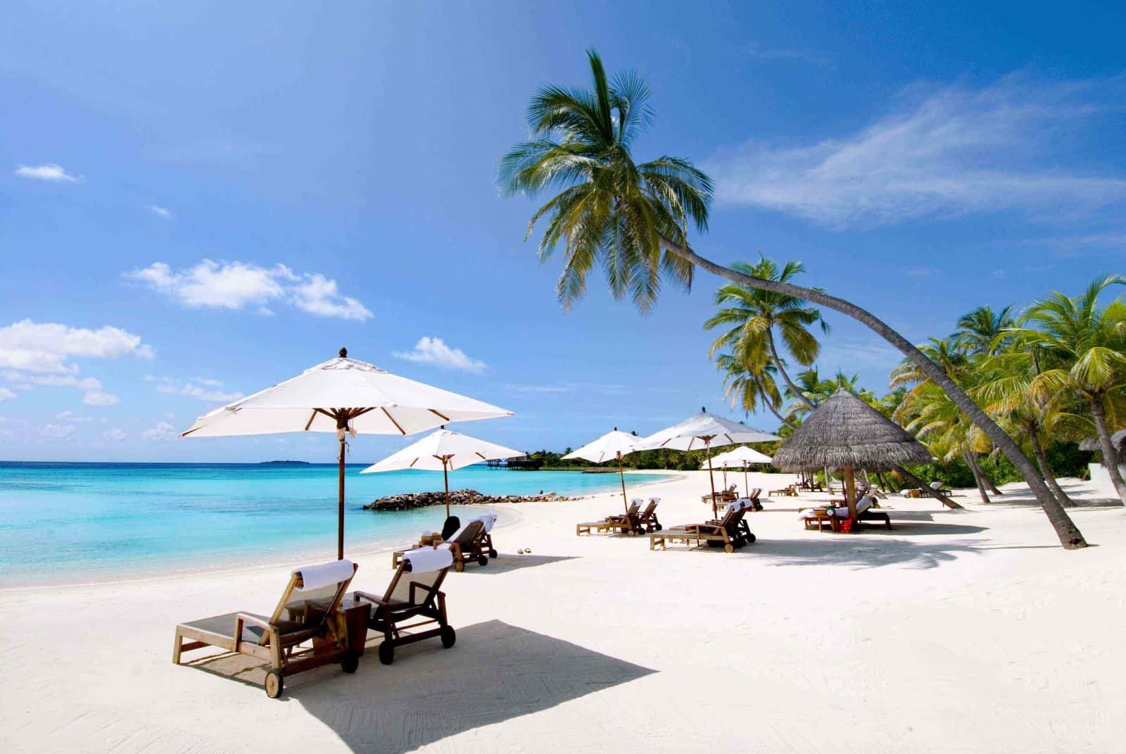 Khu du lịch Bãi Dài (Tp.Cam Ranh) được chọn để thí điểm vì ít dân cư xung quanh và có nhiều dịch vụ khép kín.