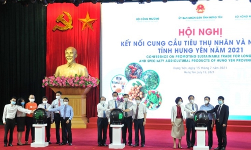 Tìm lối thoát cho nhãn và nông sản Hưng Yên trong bối cảnh dịch Covid diễn biến phức tạp