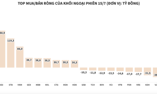 Khối ngoại tiếp tục giải ngân thêm 736 tỷ đồng trong phiên đáo hạn phái sinh
