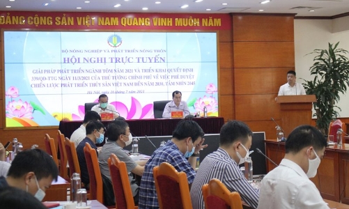 Nhiều bất cập, xuất khẩu tôm khó cán mốc 10 tỷ USD vào năm 2025?