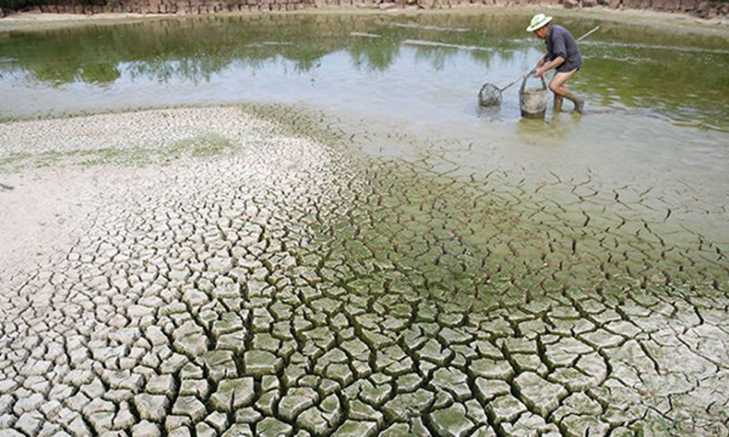 Môi trường là một trong ba trụ cột của ESG.