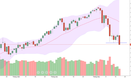 Giãn cách xã hội, chứng khoán trông chờ lịch sử lặp lại?