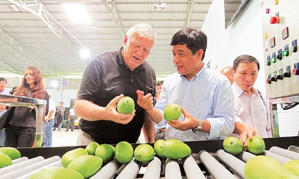 Sau 10 năm đàm phán, tháng 2/2019 xoài Việt Nam chính thức được phép xuất khẩu sang Hoa Kỳ.