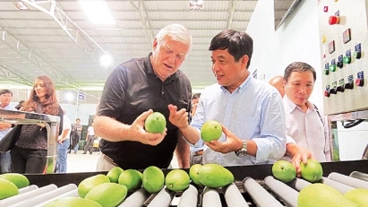 US importing more Vietnamese fruit & vegetables