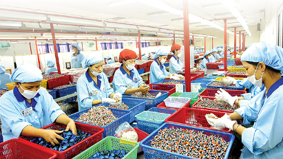 SOE restructuring: Converting quantity into quality