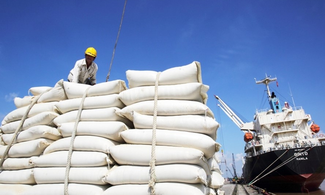 Gạo chiếm 20% tổng kim ngạch xuất khẩu của Việt Nam sang Châu Phi