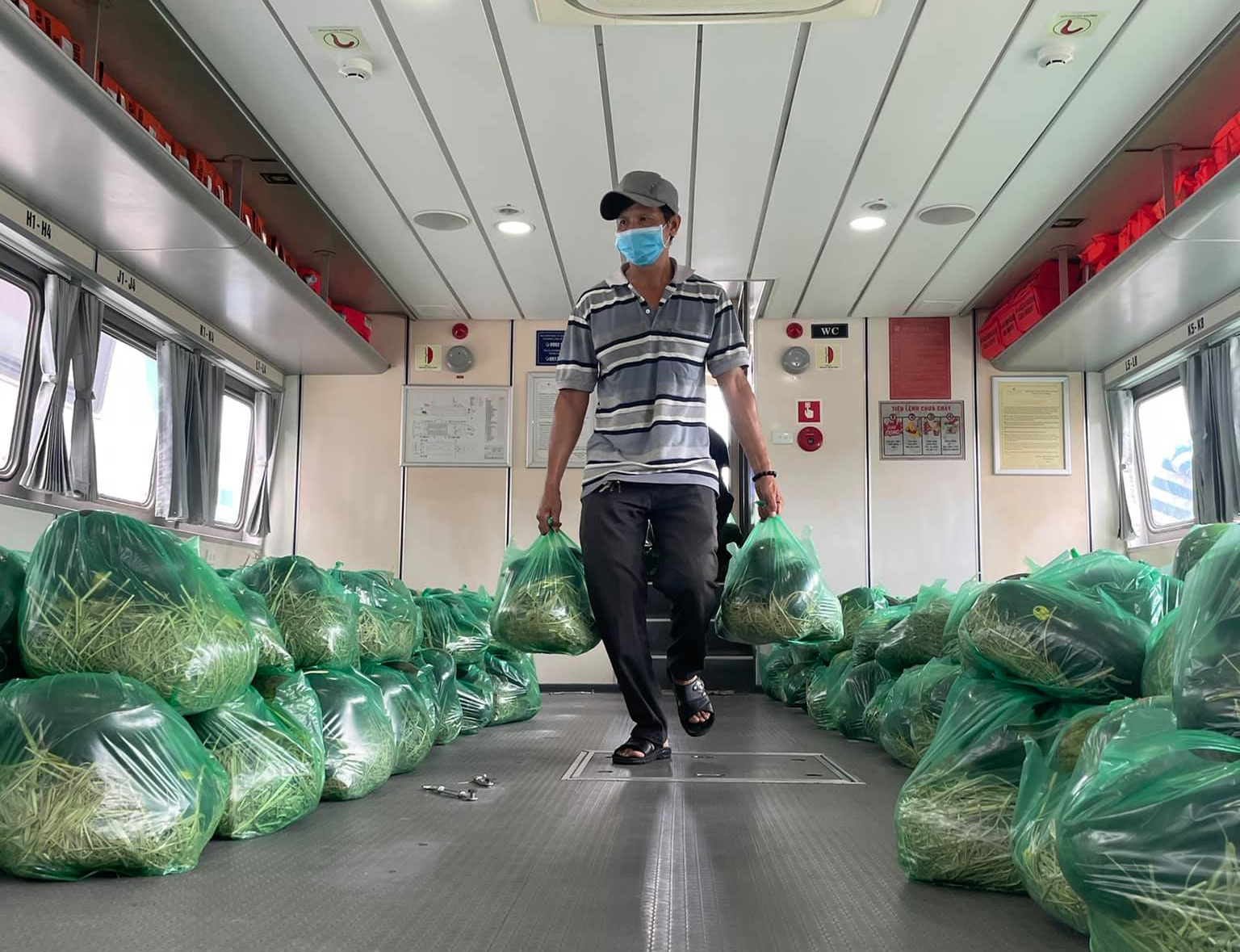 Rau củ quả được chuyển lên tàu cao tốc Greenlines DP.