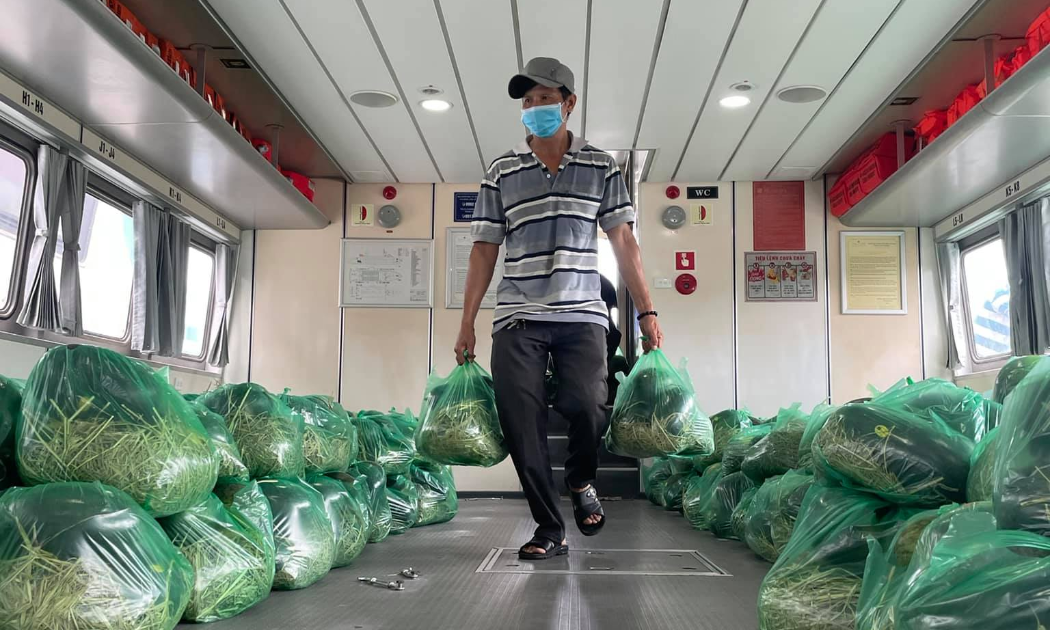 Rau củ quả được chuyển lên tàu cao tốc Greenlines DP.