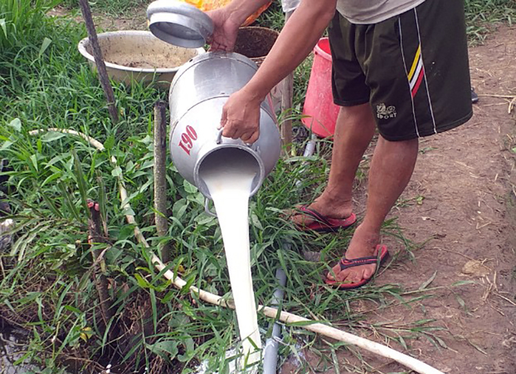 Nhiều nông dân chăn nuôi bò sữa phải đổ bỏ sản phẩm.